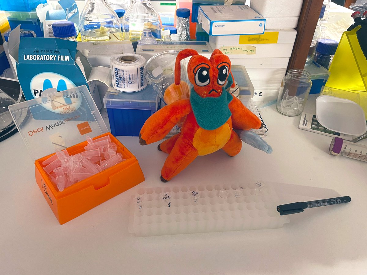 Post-flu insomnia fuelled work nights 😴

At least I now have a lab partner to help get me through!

Kril the Emotional/Scientific Support Crab 🦀🧪