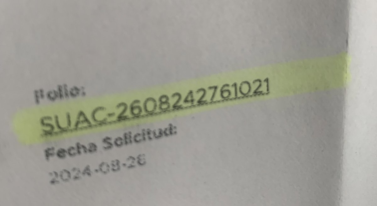 Pao 🏳️🌈 tweet media