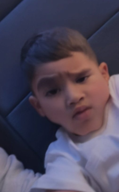 mi animal espiritual