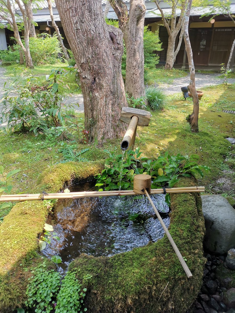見えてる世界の「設定」に氣付いて、「観察」してるとなんとなく「実態」が薄れてくる不思議な感覚🤔そしてなんとなく冷静になる