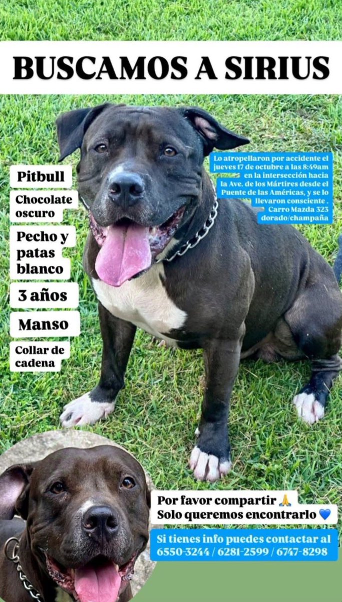 Amie Cano tweet media