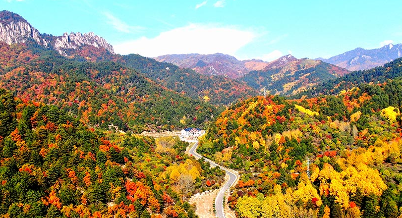 FENHENEWS's tweet photo. 金秋时节，位于吕梁市方山县境内的山西省梅洞沟省级湿地公园秋色��浓，各种树种色彩斑斓，景色迷人，多彩的秋叶与园中的草木、溪水赋予这个时节浪漫的诗意和移步换景的景象，构成了一幅壮美的金秋画卷。 https://t.co/7AqmuyZjB7