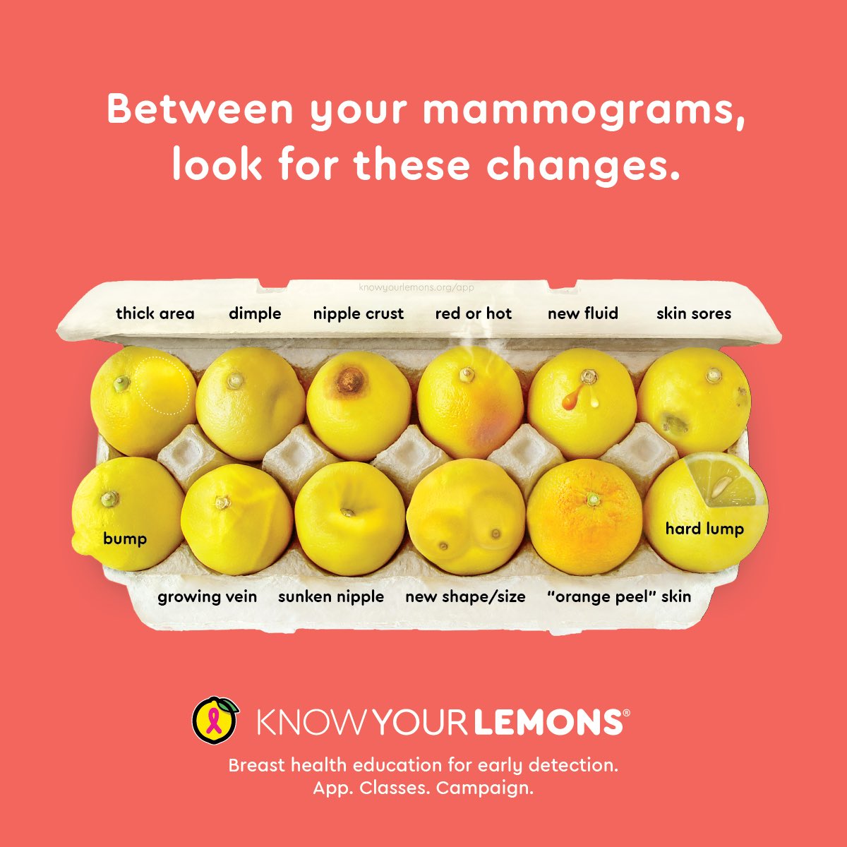 MrsBorg_fee_ord's tweet photo. Complete regular breast self exams and become breast aware. You are not on a hunt for cancer; you are getting to know your normal. #Screen40not50MB #SupplementalScreening #KnowYourDensity #AwareNotScare #KnowYourLemons https://t.co/jRoSHU163d