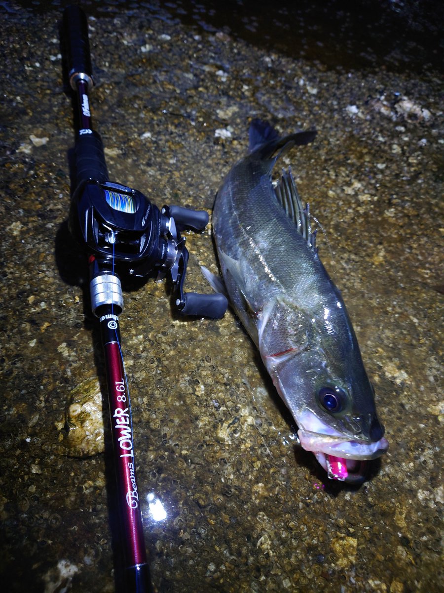 r31P7Fx2IotyGC9's tweet photo. 久しぶりのシーバス
ルアー丸飲み( ・∀・)ノ
#lower86
#シルバーウルフSVTW
#ラフダイバー
#Fishman https://t.co/5R5gWPal6V