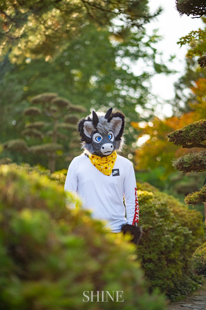 Editing Eurofurence Photos right now
Enjoy these two

Suiter: <a href="/McGrewArt/">Charlie the Godoganeer</a>