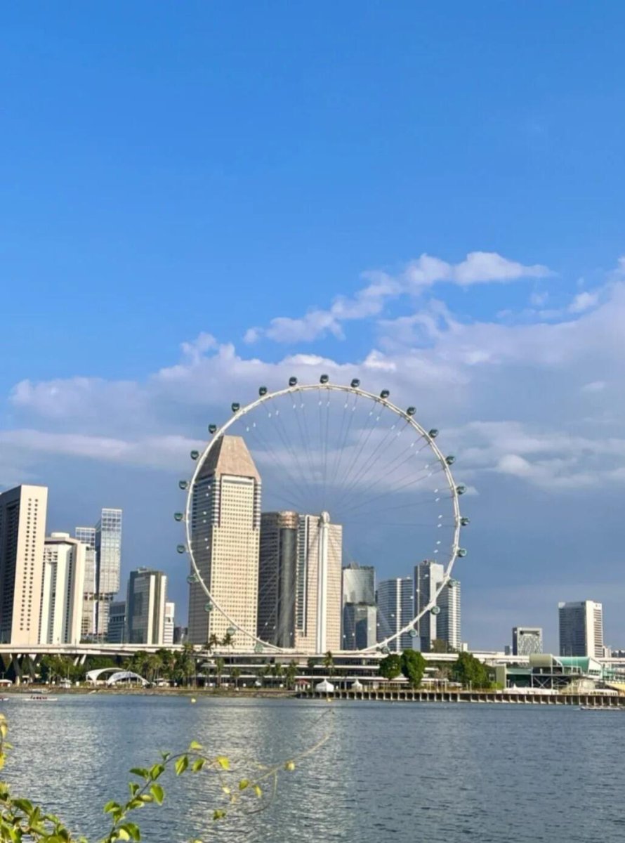 싱가포르는 정말 아름다운 곳이에요! 🌟 번화한 도시와 자연이 조화롭게 공존합니다. Bay Area의 야경은 꿈 같고 녹색 정원 도시는 정말 잊을 수 없습니다! 🌸🌆 #싱가포르