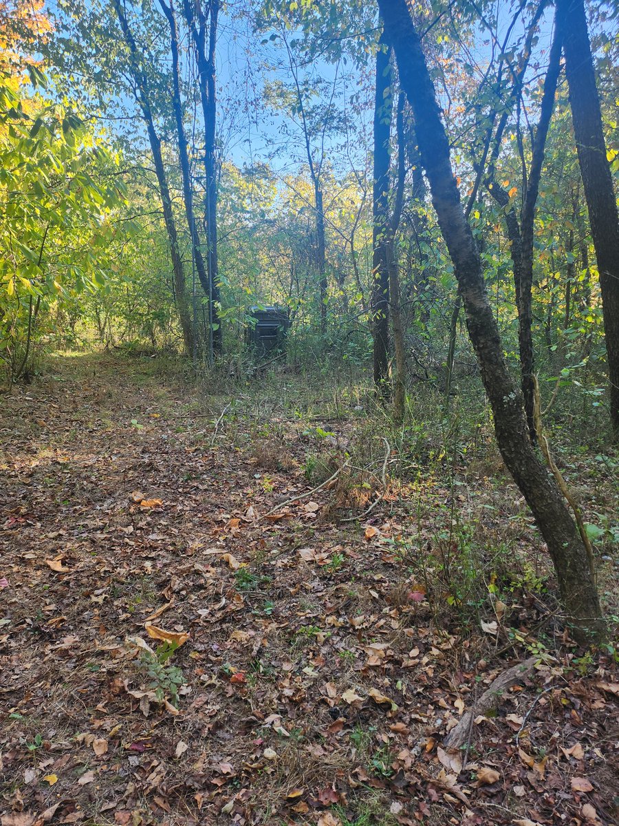 Blind all set up ready for my hunters. #ohiohunting #papercityoutdoors