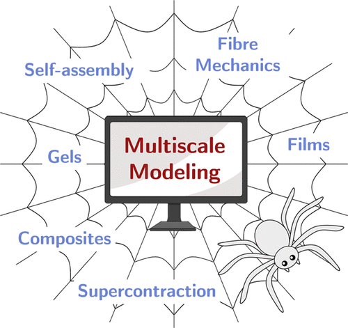 John Hardy, PGCert, PhD, CChem, FIMMM, FNAI, SFHEA (@jghardylab) on Twitter photo Review article: Progress in Multiscale Modeling of Silk Materials in <a href="/MacroJrnls_ACS/">ACS Macro Journals</a>. Authors: Harry Brough #CompChem of <a href="/JGHardyLab/">John Hardy, PGCert, PhD, CChem, FIMMM, FNAI, SFHEA</a> <a href="/LancUniChem/">Lancaster Chemistry</a> <a href="/LUMaterials/">Materials Science Institute Lancaster</a> & David Cheneler <a href="/LancsUniEng/">LancasterEngineering</a>
Funding: <a href="/EPSRC/">Engineering and Physical Sciences Research Council</a> <a href="/BBSRC/">Biotechnology and Biological Sciences Research</a> <a href="/royalsociety/">The Royal Society</a>. #Chemistry #materials #biomaterials Review article: Progress in Multiscale Modeling of Silk Materials in <a href="/MacroJrnls_ACS/">ACS Macro Journals</a>. Authors: Harry Brough #CompChem of <a href="/JGHardyLab/">John Hardy, PGCert, PhD, CChem, FIMMM, FNAI, SFHEA</a> <a href="/LancUniChem/">Lancaster Chemistry</a> <a href="/LUMaterials/">Materials Science Institute Lancaster</a> & David Cheneler <a href="/LancsUniEng/">LancasterEngineering</a>
Funding: <a href="/EPSRC/">Engineering and Physical Sciences Research Council</a> <a href="/BBSRC/">Biotechnology and Biological Sciences Research</a> <a href="/royalsociety/">The Royal Society</a>. #Chemistry #materials #biomaterials