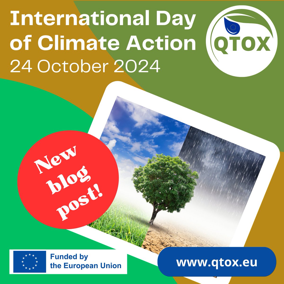QTOX8's tweet image. 🌍 Today, we celebrate the International Day of #ClimateAction 2024. At QTOX, we’re committed to understanding the urgent impacts of climate change. Check out our latest blog 👉 bit.ly/3rXCkTZ
#ClimateAction #ResearchForChange #H2021 @MSCActions
