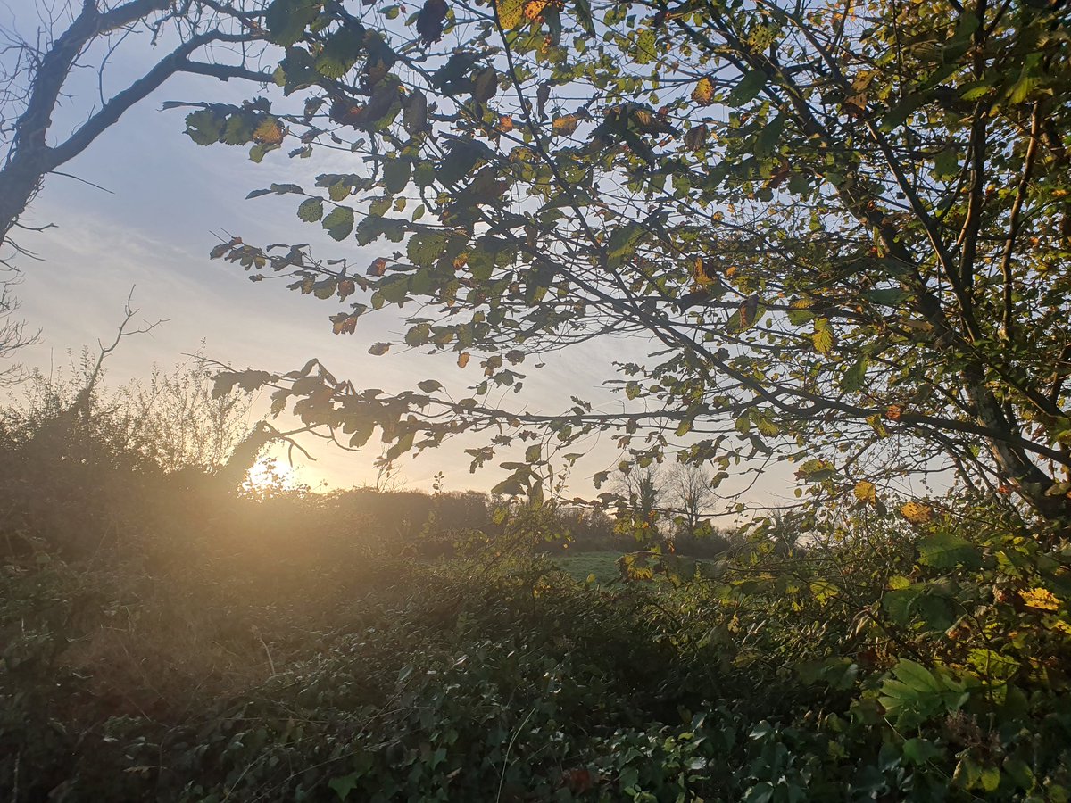 Arlene Harris tweet media