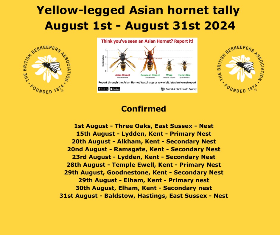britishbee's tweet image. 20 yellow-legged Asian hornet nests found in the UK in 2024 so far