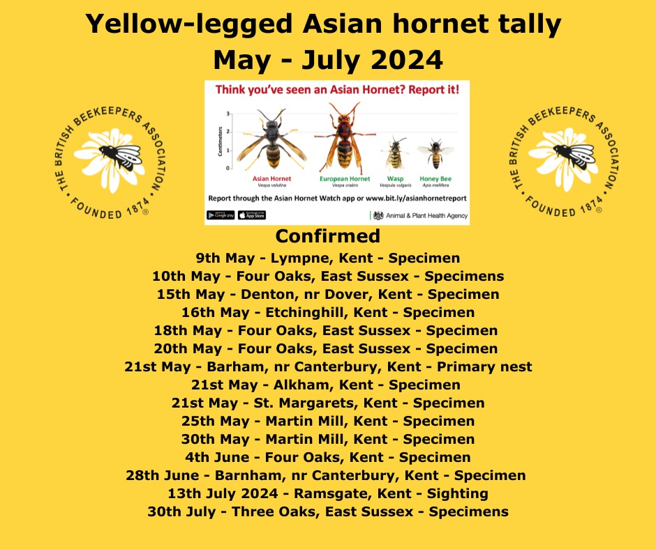 britishbee's tweet image. 20 yellow-legged Asian hornet nests found in the UK in 2024 so far