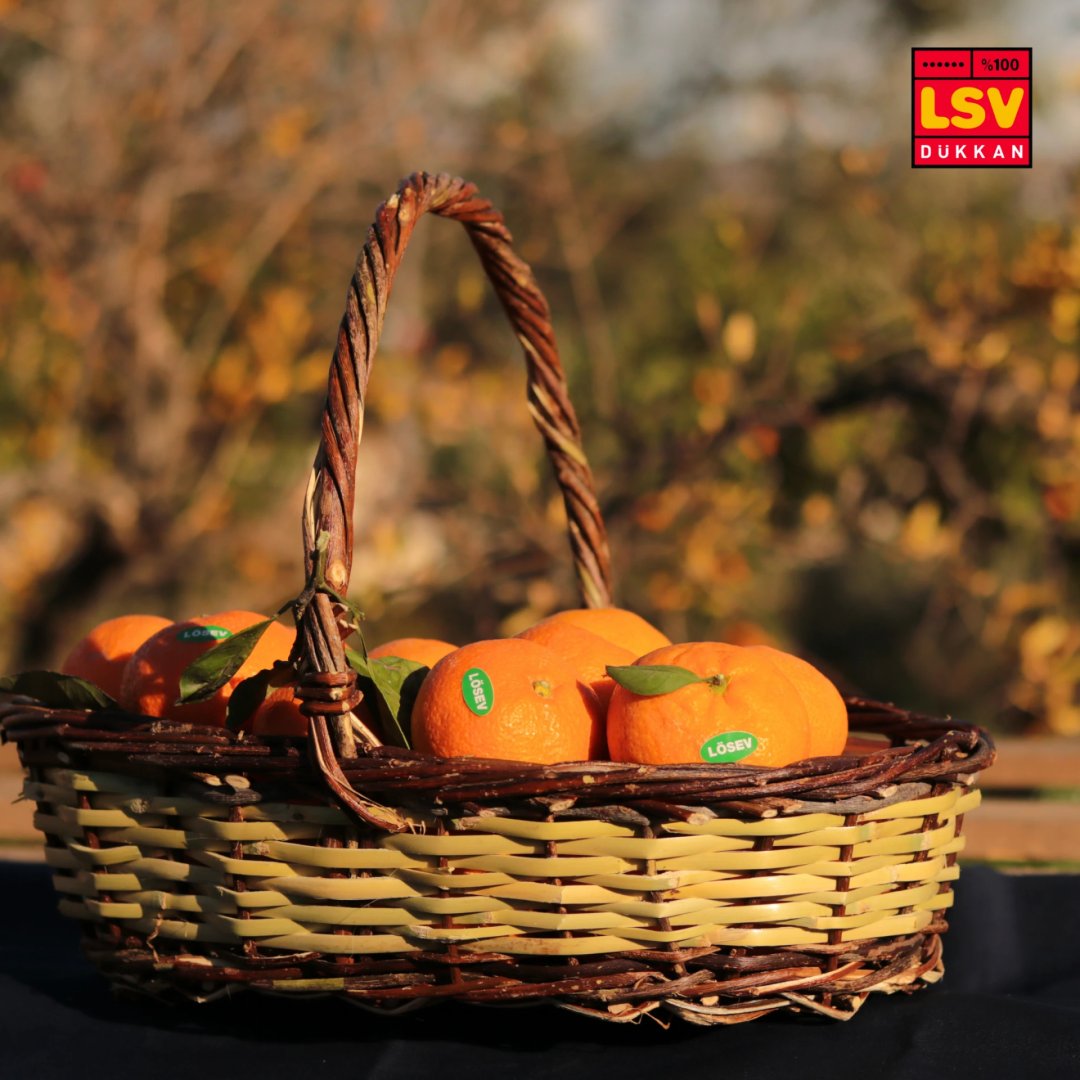 Kışın en güzel tarafı, mis kokulu LÖSEV Satsuma Mandalinaları🍊

Doğal mı doğal,
Sulu mu sulu,
Lezzetli mi lezzetli...

LÖSEV Satsuma mandalinalarımızın yeni mahsulüne çok az kaldı! lsvdukkan.com 'u takipte kalın❣️