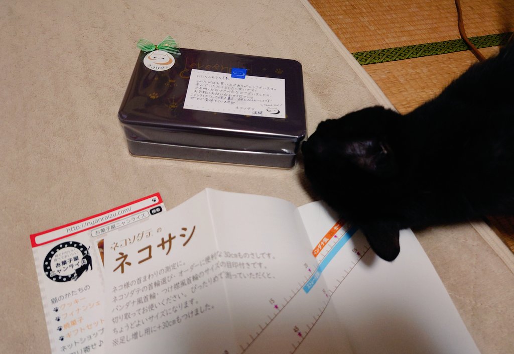 専用品 Amazon | クスコ (CUSCO) 車高調整サスペンションキット 【 street