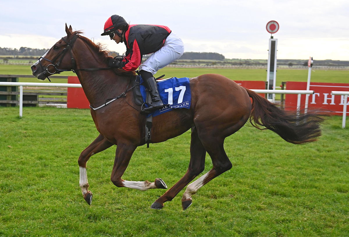 A special day for the Burns family at the Curragh yesterday as young apprentice Nicola Burns rode her first winner, trained by her dad Robbie 👏

“It's a special day and it was a long finish watching that,”

📸: Healy Racing