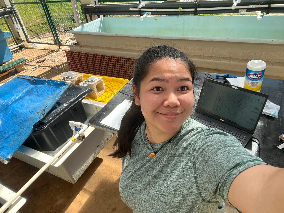 Guam NSF EPSCoR student researcher Anela Duenas has been extracting DNA from Acropora pulchra &amp; Pavona decussata samples for qPCR analysis to understand he distribution of Symbiodiniaceae.  Stay tuned for more updates on her research findings! 

#Guam #UOG #EPSCoR #Research #DNA