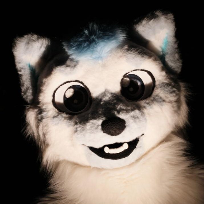 gibafur's tweet image. Almost halloween 🎃🎃🎃

Gonna have a little countdown series like last year, so stay tuned for scawy kitty!

Let's start easy with a spooky #NewProfilePic 

📷 @Refoofle