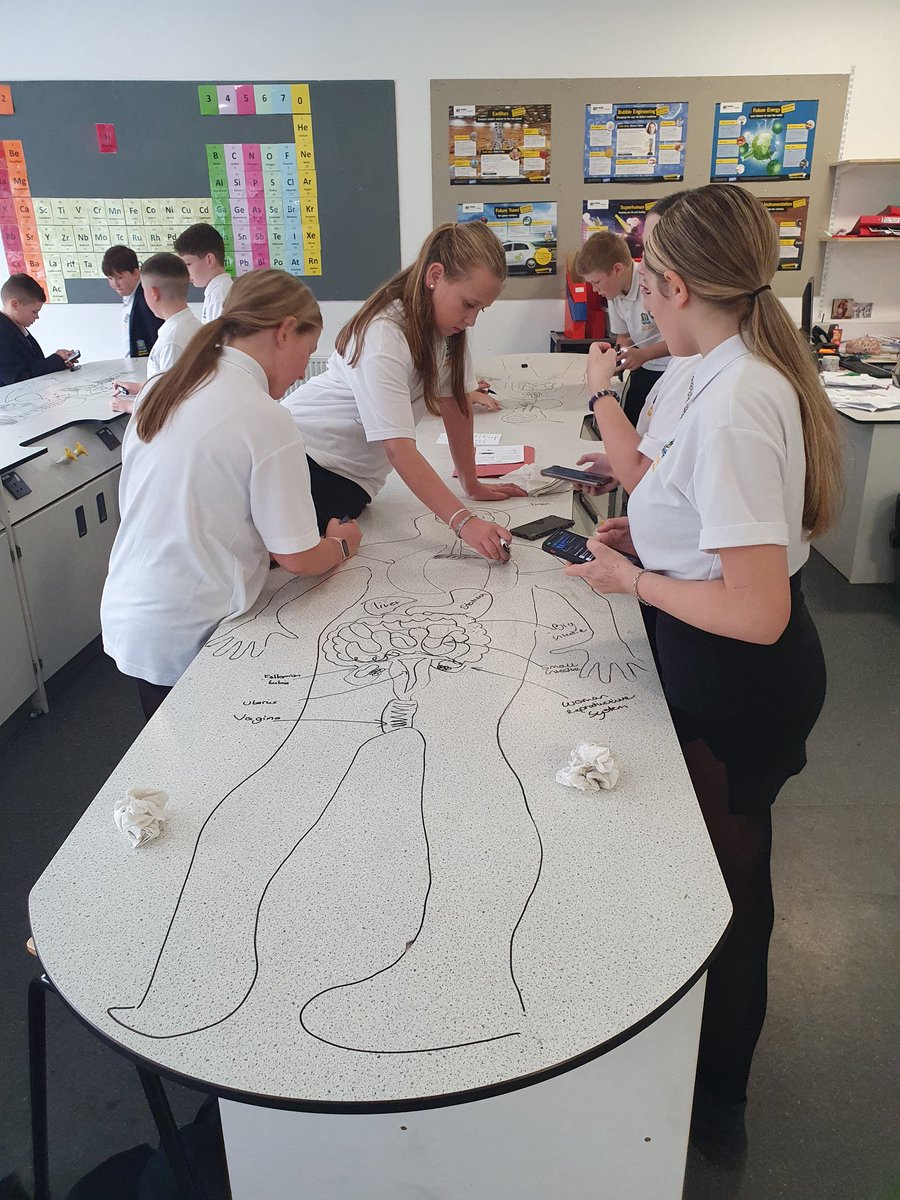 Year 7 pupils find out about organs and organ systems 🫀🫁