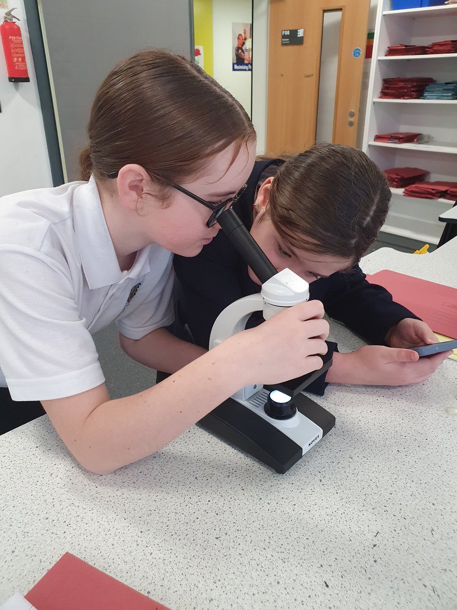 aths_science's tweet photo. Year 7 making their own onion cell slide 🔬🧅 https://t.co/g3FEQsmE3v