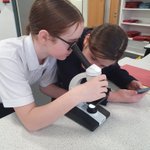 Photo by Afon Taf Science (@aths_science)
