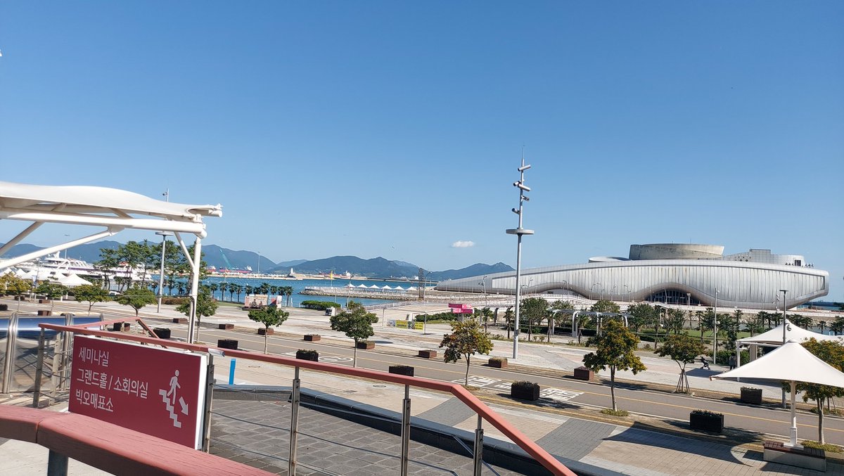 Marco Peccianti, tweet media