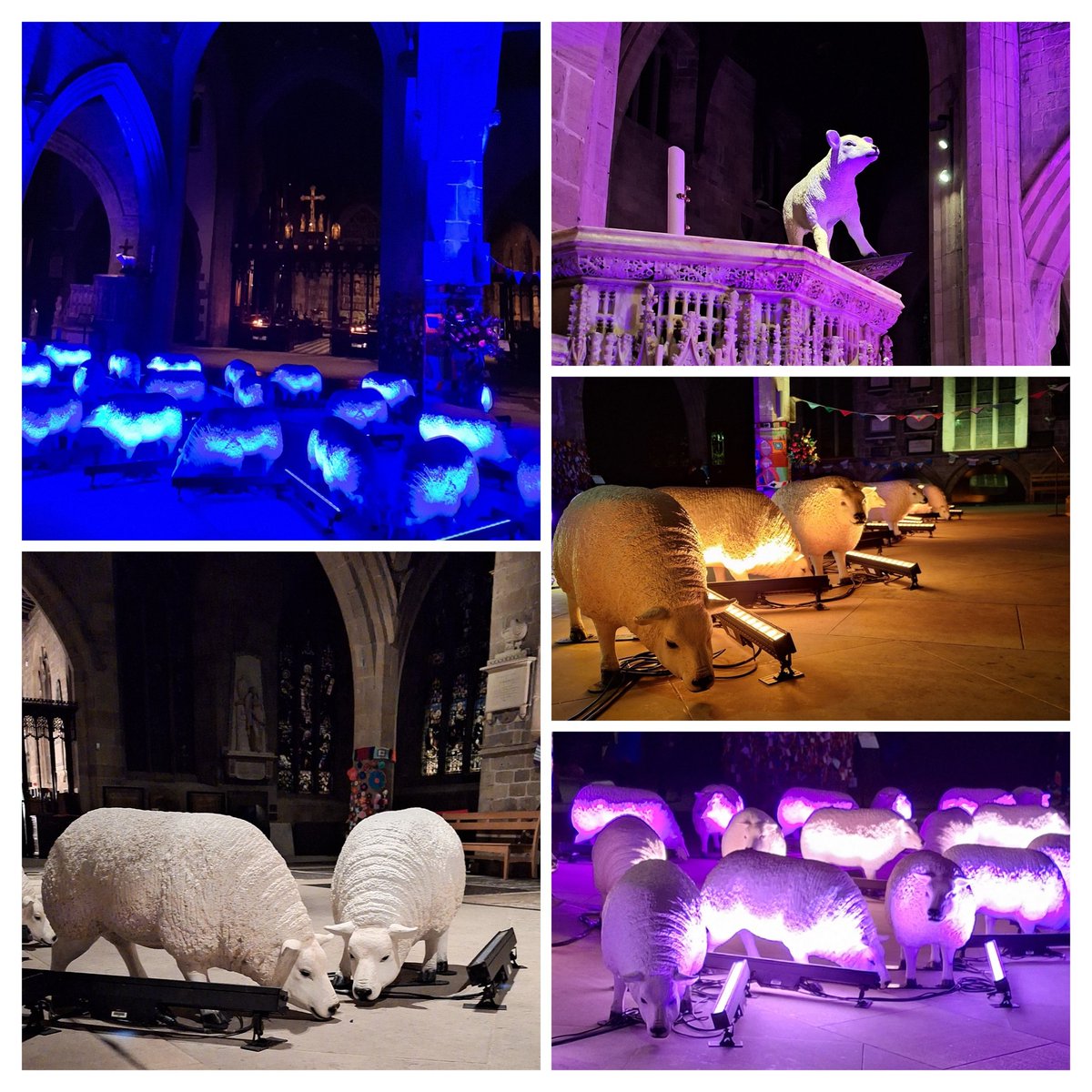 Helen (@helendrinkstea) on Twitter photo Great to see the <a href="/deepamann_kler/">Deepa Mann-Kler Award Winning Artist & Director</a> <a href="/IllumSheep/">Illuminated Sheep</a> last night at <a href="/nclcathedral/">Newcastle Cathedral</a> Really atmospheric and unusual. Loved it! #SmallBeauties 🐑💙 Great to see the <a href="/deepamann_kler/">Deepa Mann-Kler Award Winning Artist & Director</a> <a href="/IllumSheep/">Illuminated Sheep</a> last night at <a href="/nclcathedral/">Newcastle Cathedral</a> Really atmospheric and unusual. Loved it! #SmallBeauties 🐑💙