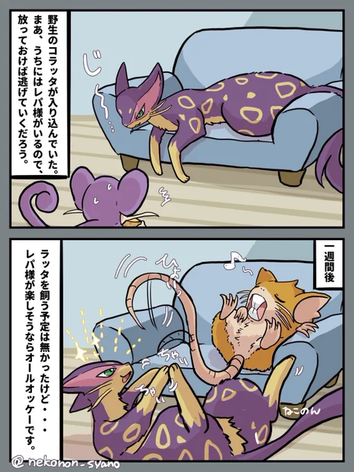 新しい住人

リクエストから
レパルダス / ラッタ 