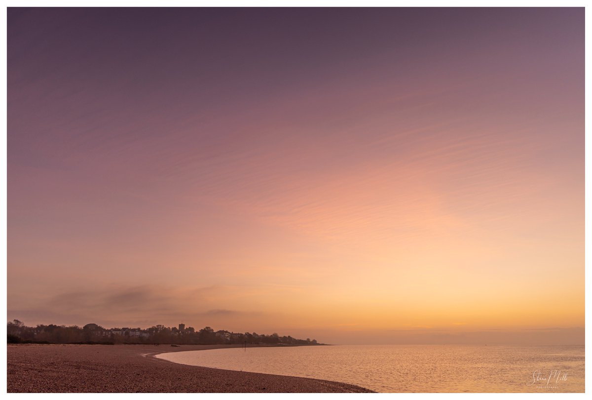 Shaun Mills tweet media