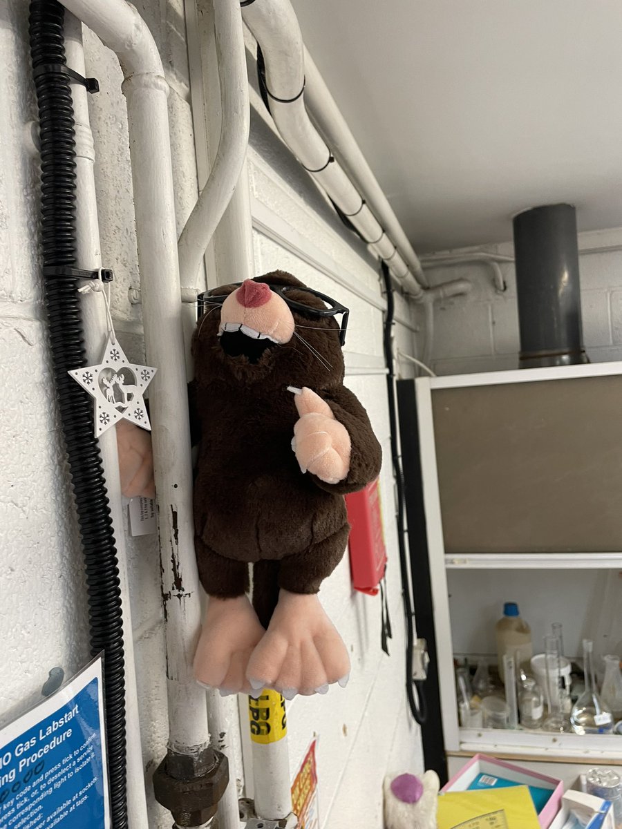 FionaOScience's tweet image. Happy mole day everyone ! @RoySocChem @IrishSciTeach