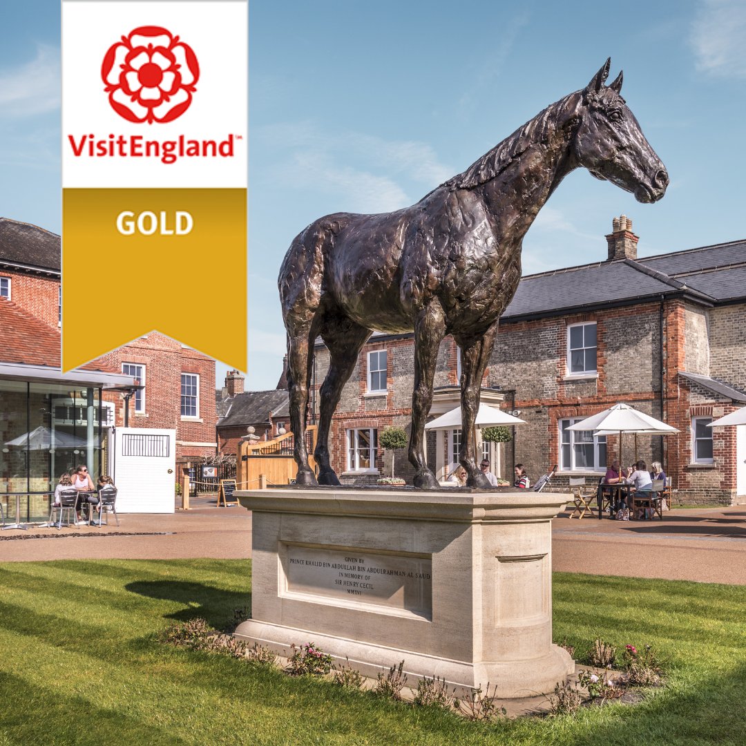 The National Horseracing Museum is delighted to announce that it have been awarded GOLD in the VisitEngland Visitor Attraction Accolades.
Thank you to all of our wonderful visitors, team members, and volunteers. Each one of you help make visiting the Museum such a golden day out.