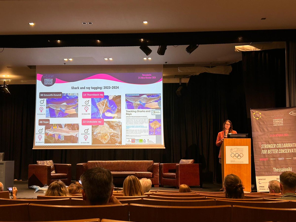Dr Alice Hall (@ahall_marine) on Twitter photo On behalf of our team I presented the #AnglingforSustainability <a href="/DefraGovUK/">Defra UK</a> #FISP project at the #EEA2024 conference in Thessaloniki 🇬🇷🦈
<a href="/aMER_MarineRes/">Applied Marine Ecosystems Research (aMER) Plymouth</a> <a href="/PlymUni/">University of Plymouth</a> <a href="/AnglingTrust/">Angling Trust</a> <a href="/NaturalEngland/">Natural England</a> <a href="/SouthernIFCA/">Southern IFCA</a> <a href="/fish_intel/">FISH INTEL</a> <a href="/Dr_Emma_Sheehan/">Emma Sheehan</a> <a href="/Pete_Davies1/">Pete Davies</a> <a href="/ThomasStamp/">Dr Thomas Stamp</a> <a href="/reb/">Rebecca</a> On behalf of our team I presented the #AnglingforSustainability <a href="/DefraGovUK/">Defra UK</a> #FISP project at the #EEA2024 conference in Thessaloniki 🇬🇷🦈
<a href="/aMER_MarineRes/">Applied Marine Ecosystems Research (aMER) Plymouth</a> <a href="/PlymUni/">University of Plymouth</a> <a href="/AnglingTrust/">Angling Trust</a> <a href="/NaturalEngland/">Natural England</a> <a href="/SouthernIFCA/">Southern IFCA</a> <a href="/fish_intel/">FISH INTEL</a> <a href="/Dr_Emma_Sheehan/">Emma Sheehan</a> <a href="/Pete_Davies1/">Pete Davies</a> <a href="/ThomasStamp/">Dr Thomas Stamp</a> <a href="/reb/">Rebecca</a>