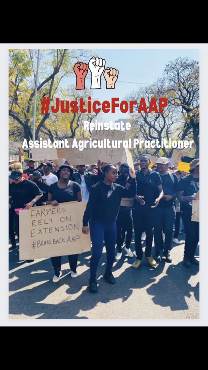 SZixolisa's tweet photo. Balance information dissemination and demonstrate sustainable farming methods to rural farmers. Employ Assistant Agriculture Graduates @CyrilRamaphosa @jsteenhuisen @DALRRDgov_ZA @SABCNews 
#UnemployedAgricPractitioners https://t.co/ni3K4QljF6