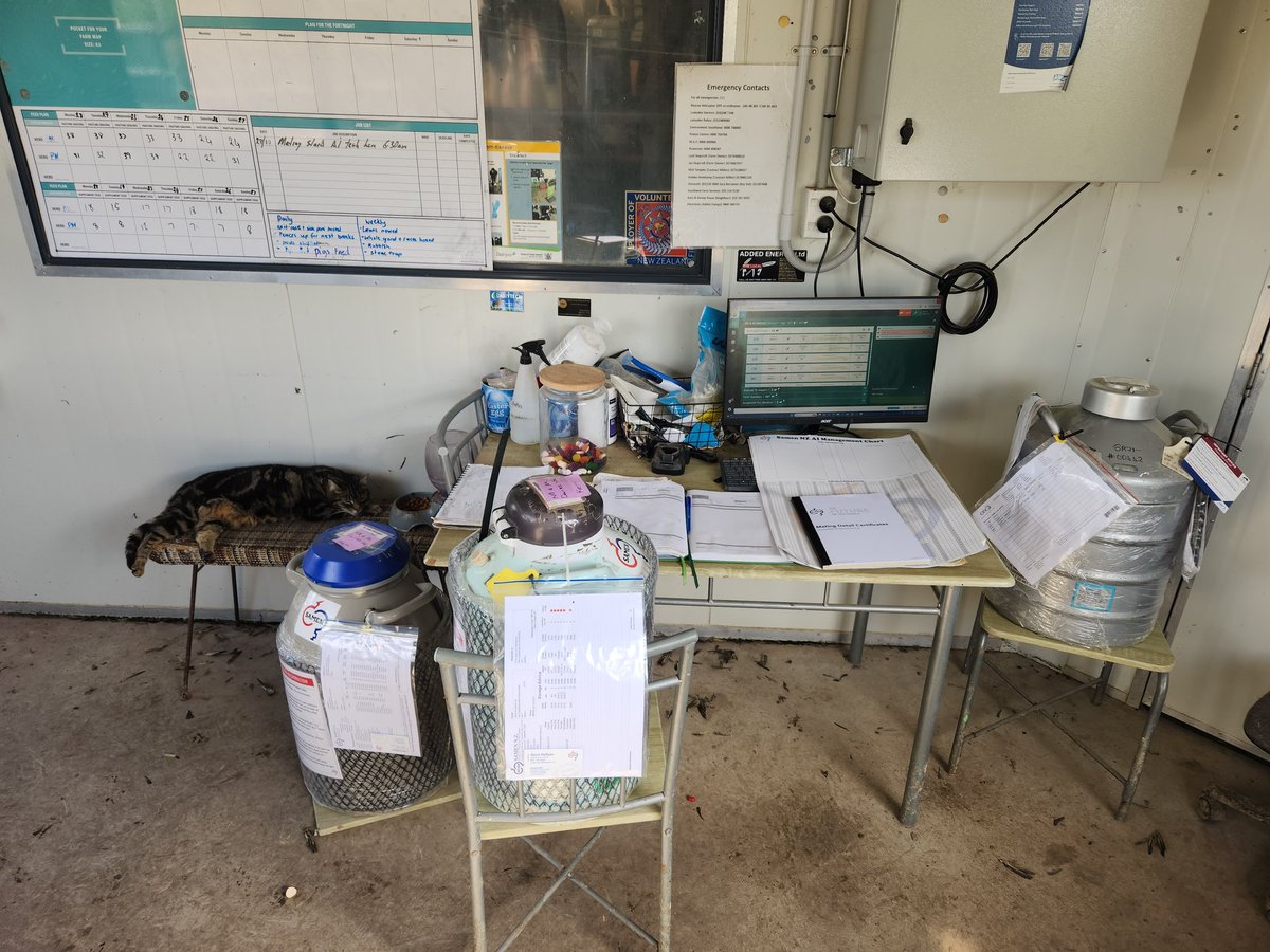 All ready for mating 2024. Bring on Monday!