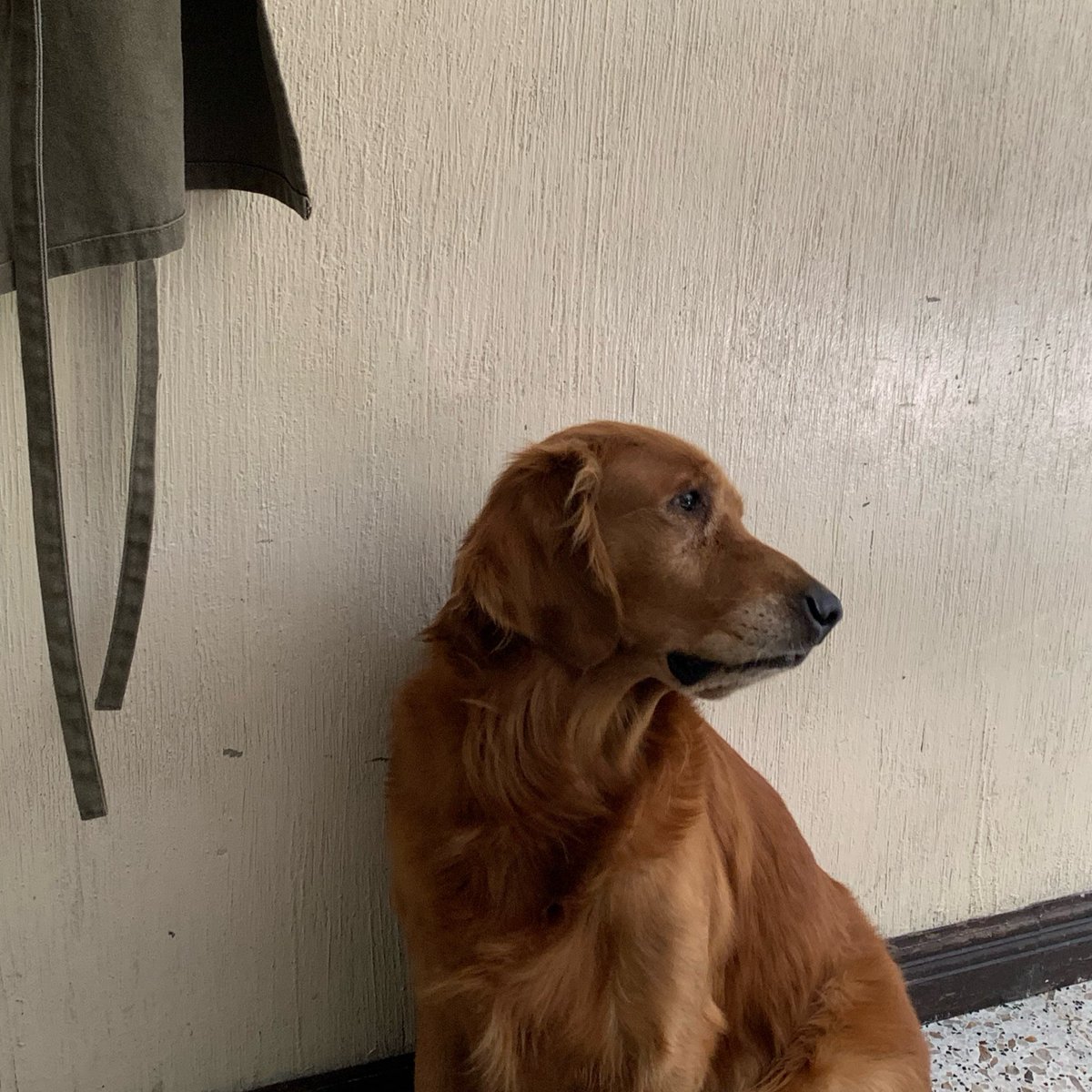 ay gordito, decirte que me vas a hacer mucha falta es poco, me duele mucho mi corazón 

el tiempo que pasamos juntos nunca fue suficiente 

son amores de paso, cumplen su propósito de enseñarnos a amar mejor

❤️‍🩹