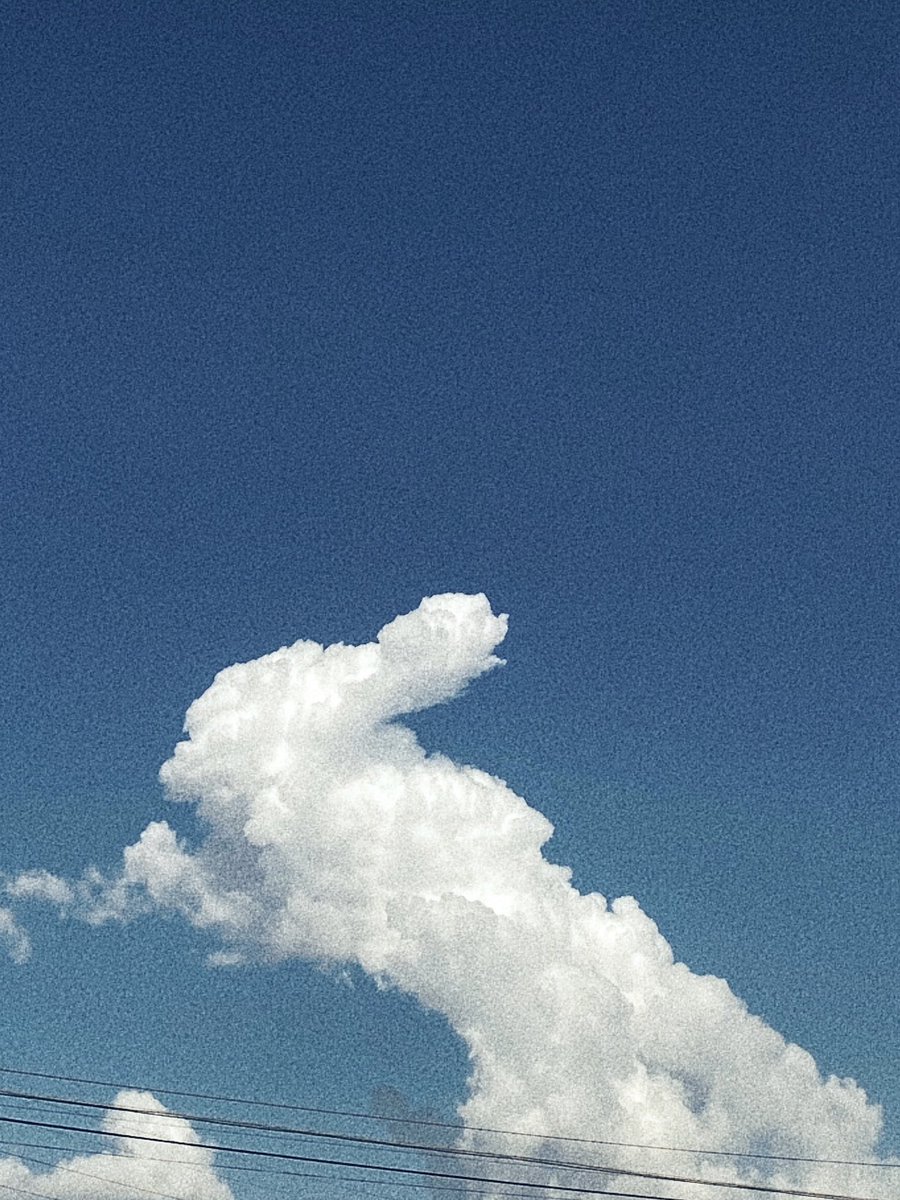 Haz visible lo invisible 
~ bears media 🐇