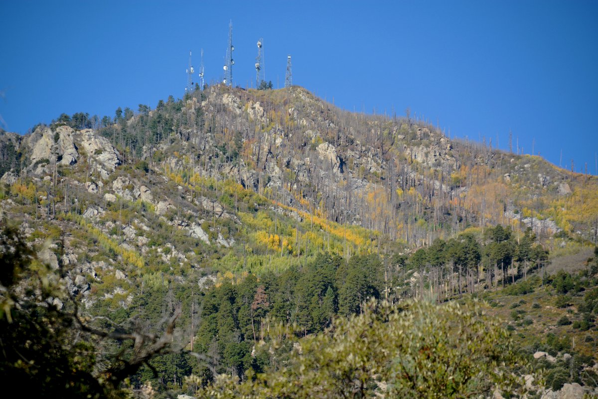 HLHughes03's tweet image. 10/22/2024, 🌵Making our #Tuesday rounds in #GrahamCounty #Arizona #getoutside and unplug on Mt. Graham, but watch for deer👍