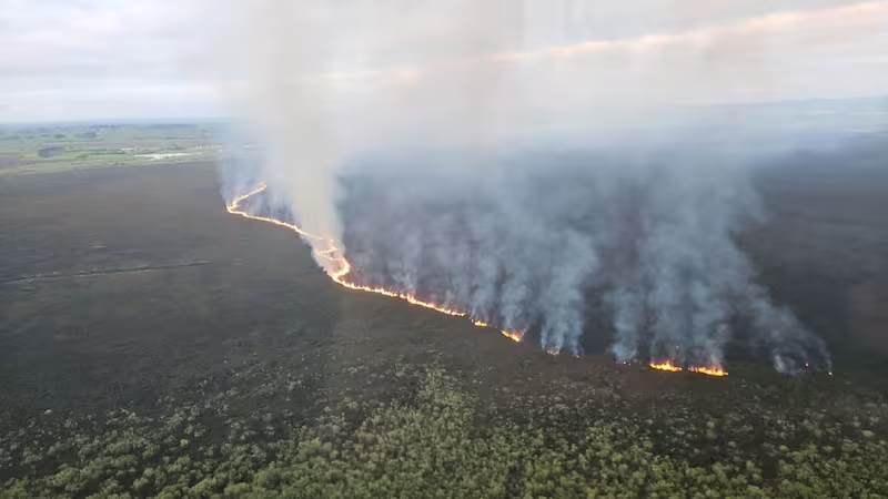 Scott Hamilton RTM tweet media