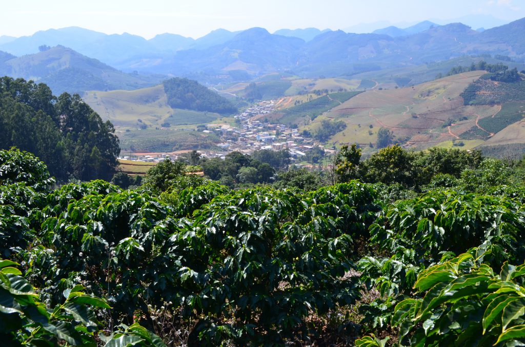 JulitaCoffWorks's tweet photo. We are currently managing multiple coffee farms across Uganda, ranging from small holdings (5 acres) to larger estates. Our portfolio continues to grow as more landowners trust us with their land, as we ensure high yields and profitability. 📞0787979707 #SayNoToIdleLand https://t.co/mfMUvvSFOB