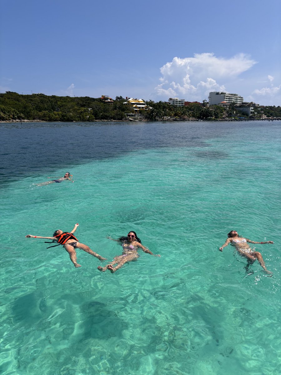 keyr0ze's tweet image. 