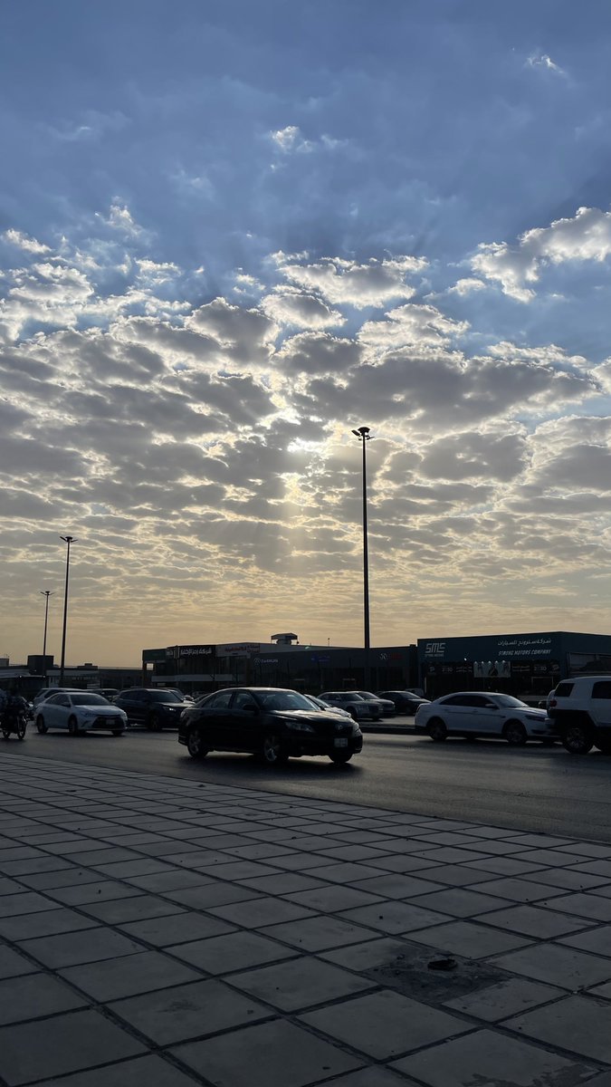 Hamvdv's tweet image. 