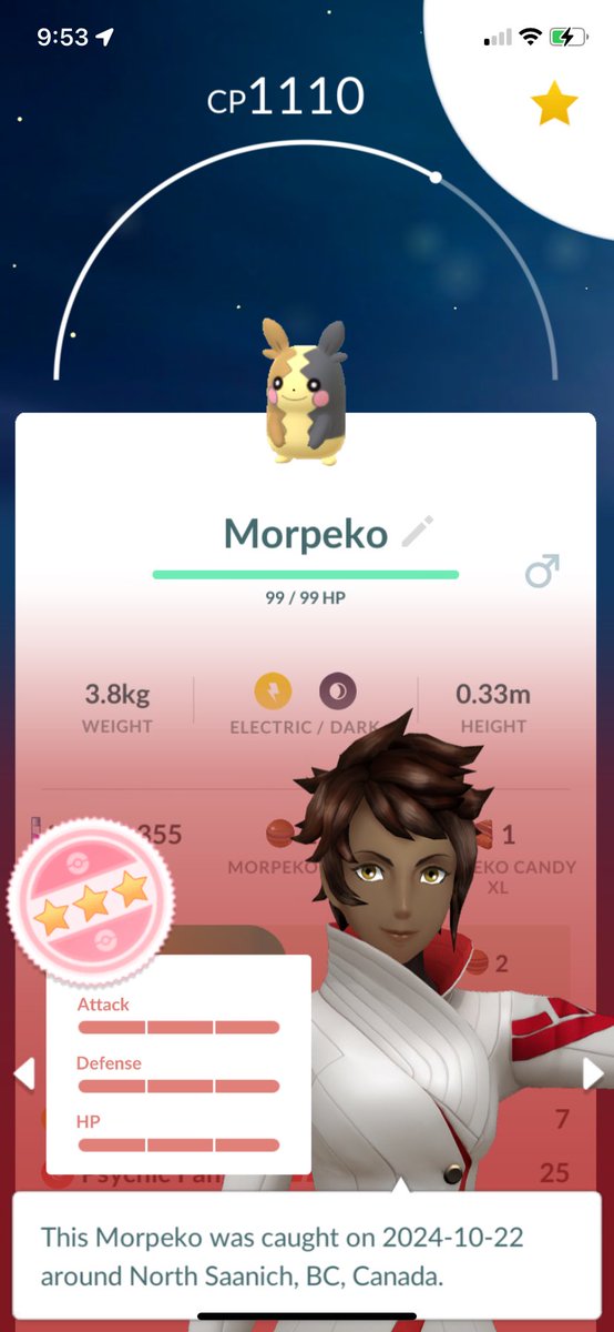 Not bad for my first Morpeko encounter