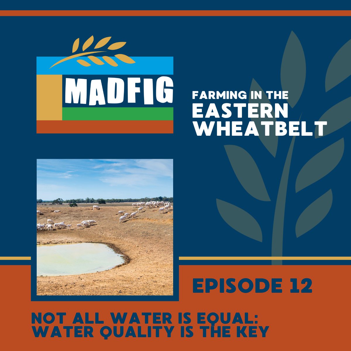 Water quality is key! 💧

Tune into our latest podcast episode to discover why understanding water quality is just as crucial as having water. Just in time for our AGM tomorrow, where we will launch our new #WaterSmartDams Water Quality booklet!

🔉 spoti.fi/3NxtrI7