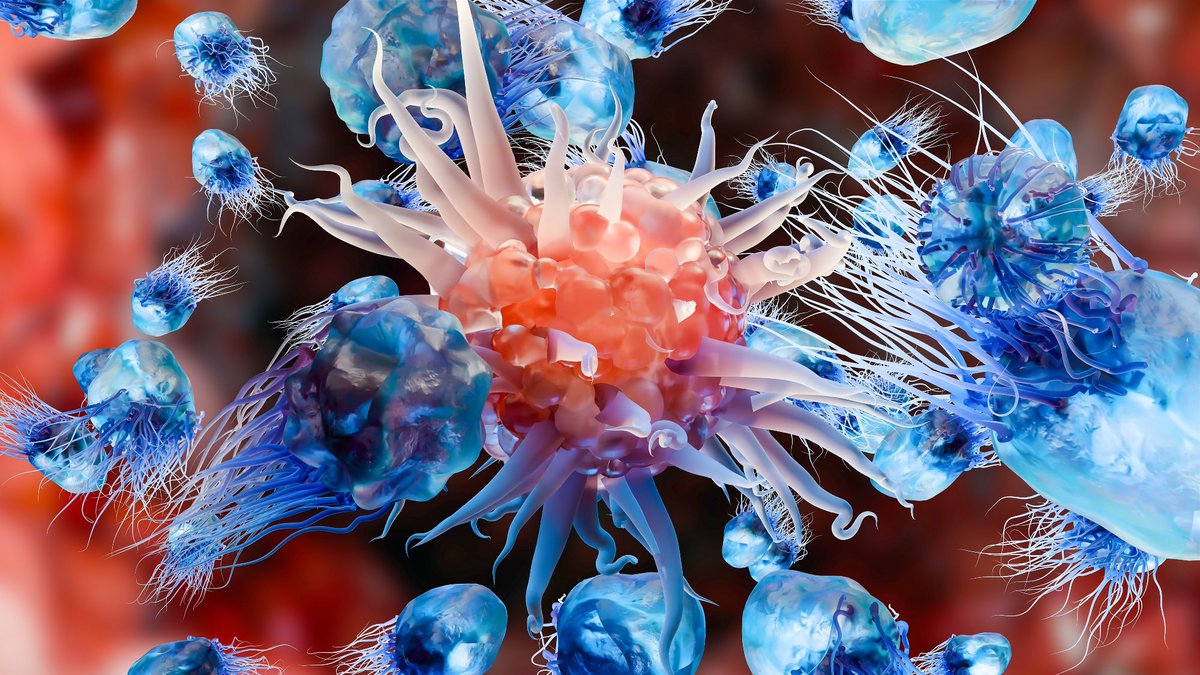 NewsMedical's tweet image. P-stalk ribosomes identified as key regulators of immune evasion in cancer 🔬✨💥 news-medical.net/news/20241023/… #Cancer #Immunotherapy #Ribosomes #Tumor #Cytokines #PostTranslational #CellBiology #ImmuneResponse #CancerBiology @CellCellPress