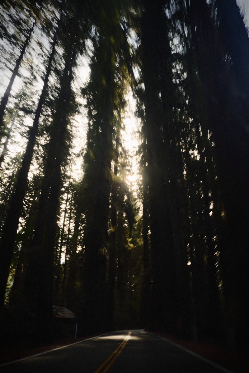 brndnbza's tweet photo. Film sim c: https://t.co/uIMBzTlo3O