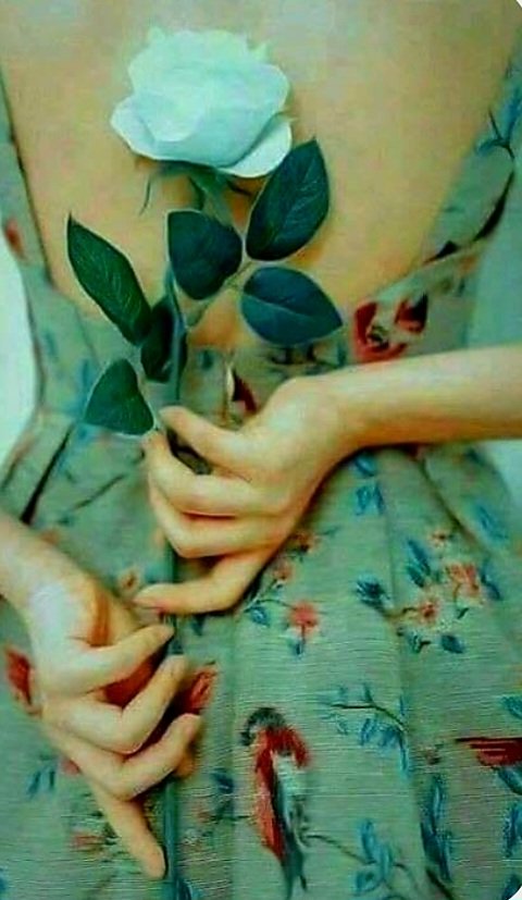 Güzelliklerle karşılaşacağımız bir gün olsun 😊🌺

Günaydın...💙