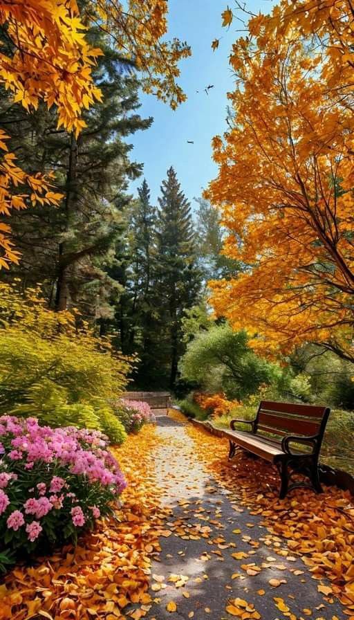 Ambassador tweet media