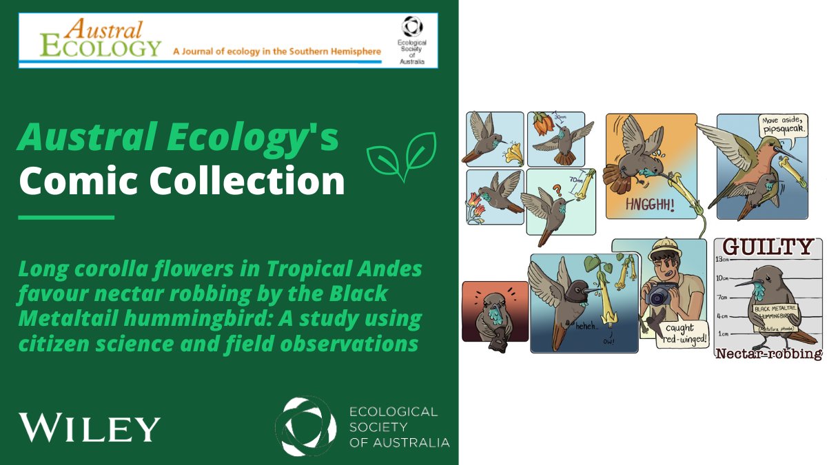 #AustralEcology (@australecology) on Twitter photo New comic in #AustralEcology now available on: bit.ly/40euynm
<a href="/EcolSocAus/">Ecological Society of Australia</a> <a href="/WileyEcolEvol/">Wiley Ecology & Evolution</a>
comic drawn by Claire Duncan
read the #OpenAccess paper here: bit.ly/4d5YsgA New comic in #AustralEcology now available on: bit.ly/40euynm
<a href="/EcolSocAus/">Ecological Society of Australia</a> <a href="/WileyEcolEvol/">Wiley Ecology & Evolution</a>
comic drawn by Claire Duncan
read the #OpenAccess paper here: bit.ly/4d5YsgA
