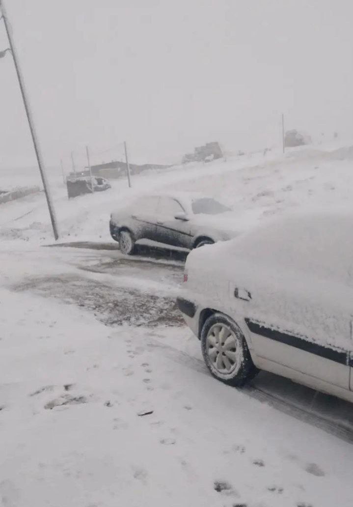 _Savalan_'s tweet photo. چهره برفی روستای پیله‌چای (فتح مقصود) نمین https://t.co/b1lUKkYHRt