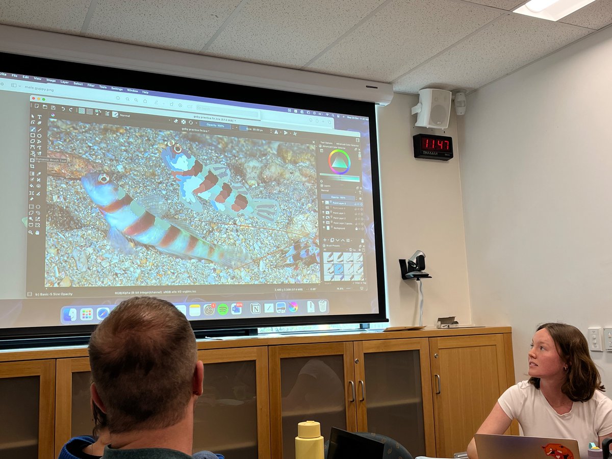 BBM_Wong's tweet photo. Learning how to make nice fish pictures for ppt presentations. Thanks to @EllyRMoore and @ShihoOzeki for running the workshop. #BobWongLab https://t.co/Q7ceKzOipQ
