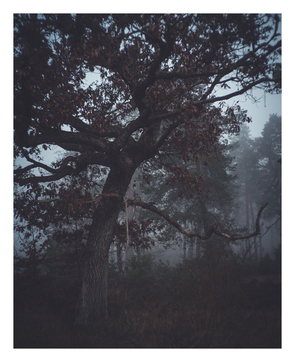 Andy Day tweet media